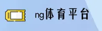 使用指南与常见问题